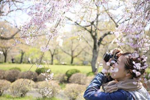 隐忍:婚姻危机中农村青年留守女性的生活境遇